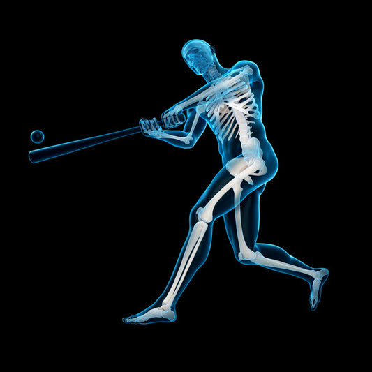 Baseball Science 101: The Physics of Hitting a Home Run